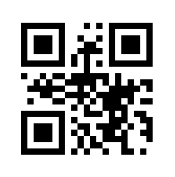 QR Code Generator in Python