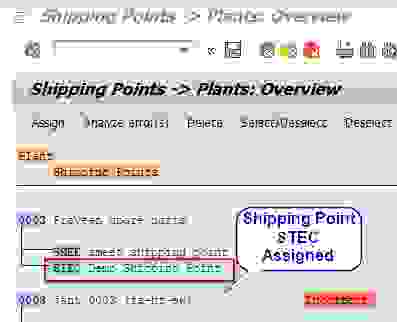 How To Define And Assign Shipping Point To A Plant In SAP