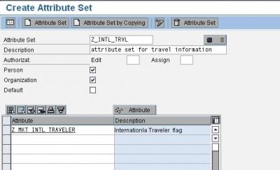 SAP CRM Marketing Attributes Creating an Attribute Set