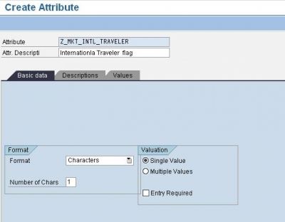 SAP CRM Marketing Attributes Creating an Attribute