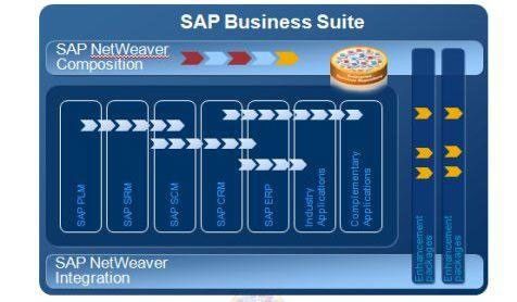 SAP Business Suite - An Overview