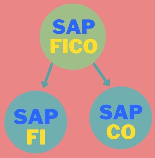 SAP FICO, Full form and Meaning