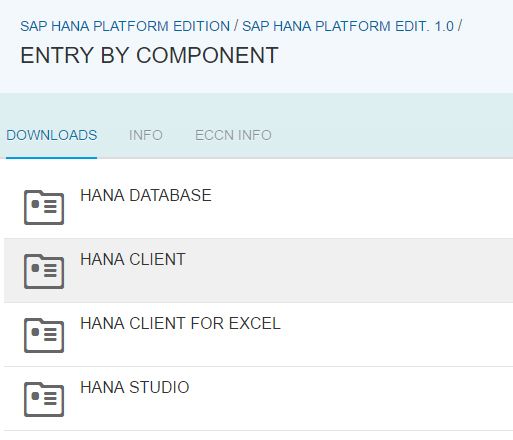 SAP HANA Client 1.0