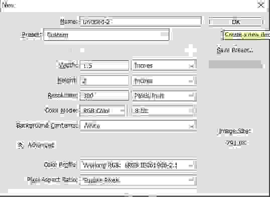 how-to-make-passport-size-photos-on-a4-photo-sheet-afc-google-penguin-2