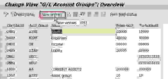 How to Define Chart of Accounts in SAP & Assign Company Code?