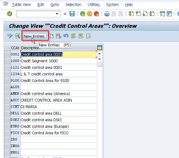 Change View Credit Control