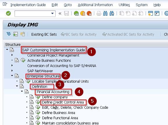 SAP Credit Control Area