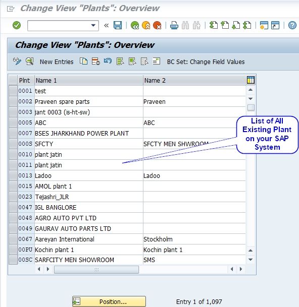 material assignment to plant in sap