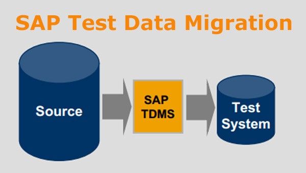 SAP Test Data Migration Server 