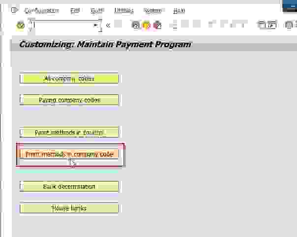 automatic-payment-program-in-sap