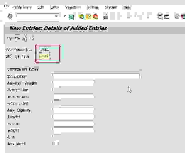 Define Storage Bin Types In SAP