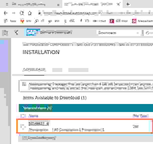 sap gui download to application server