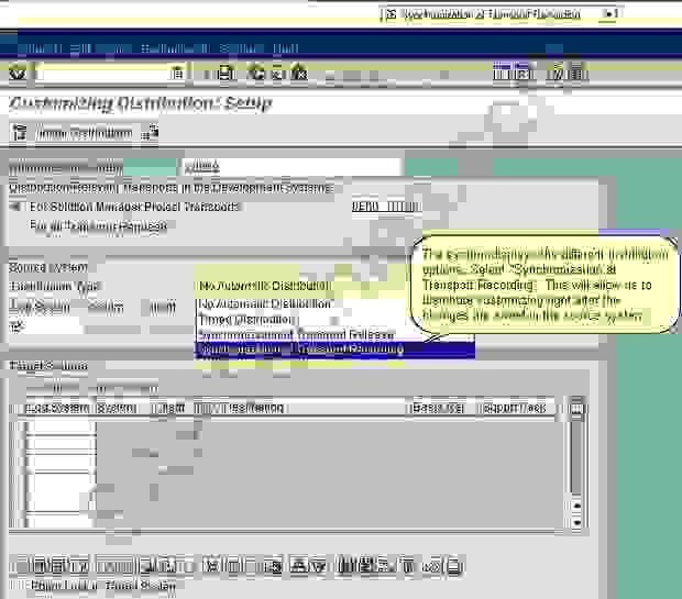 How to handle Customizing Distribution