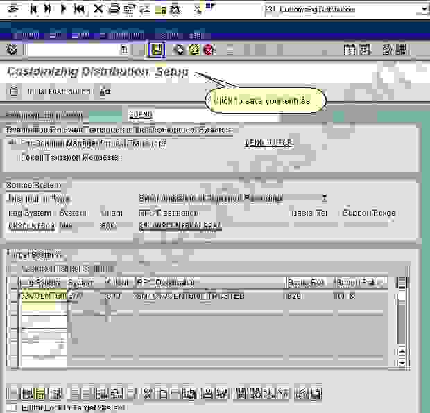 How to handle Customizing Distribution