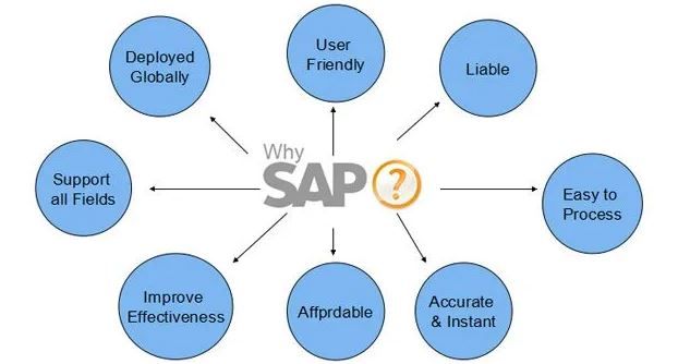 Benefits of SAP Software