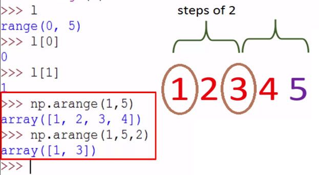 NumPy Array Tutorial