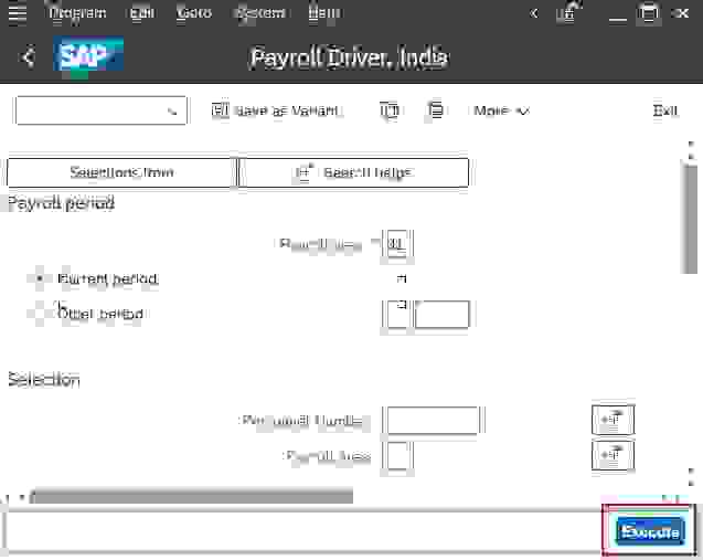 Execute Payroll in SAP HR