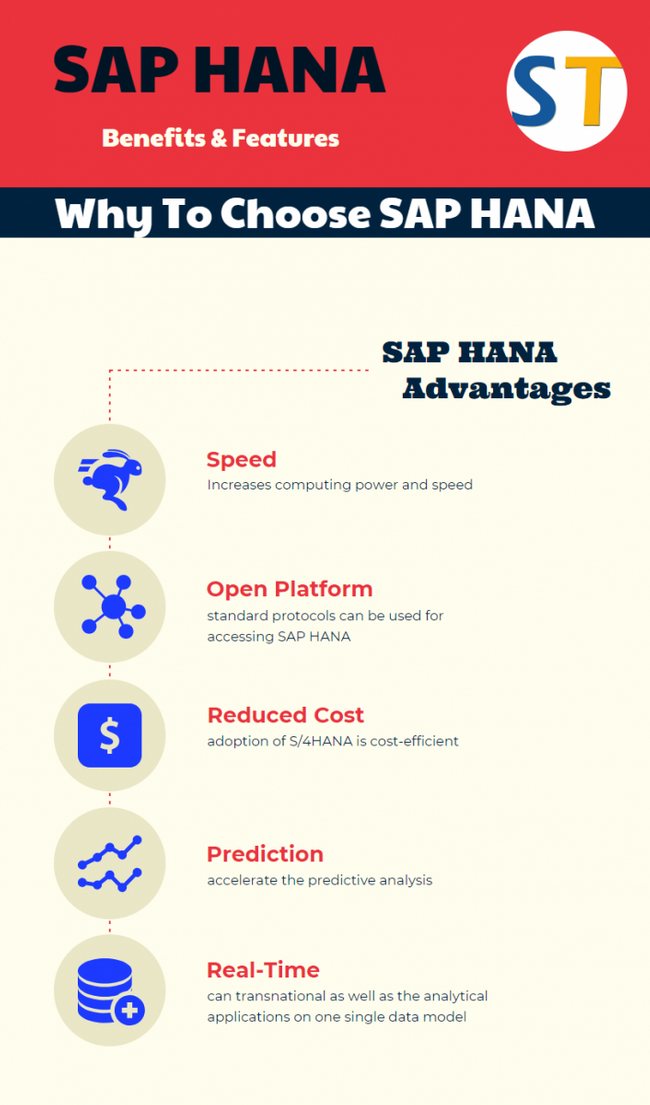 Sap Hana Full Form And Meaning