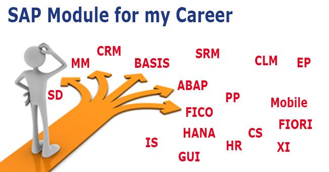 SAP Module for my Career