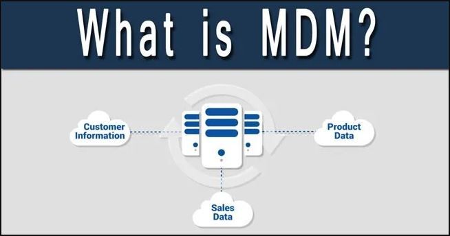 sap mdm objectives