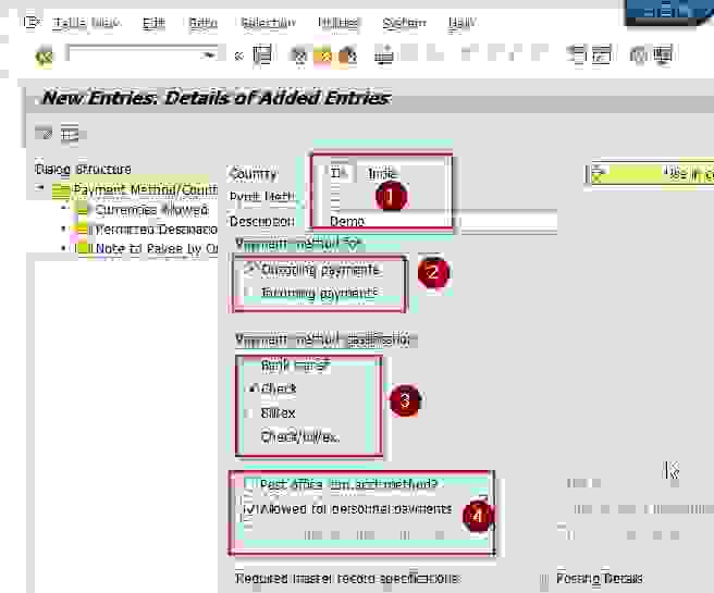 automatic-payment-program-in-sap