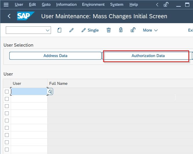 Authorization Data