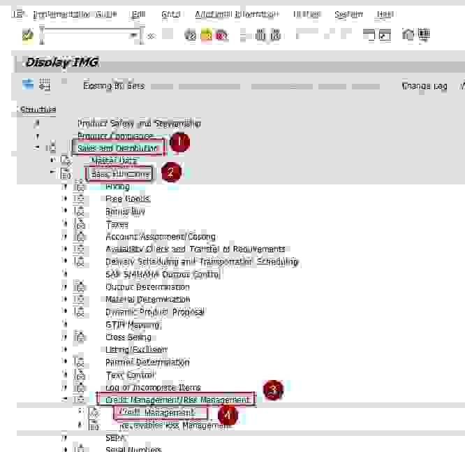 define-credit-groups-in-sap
