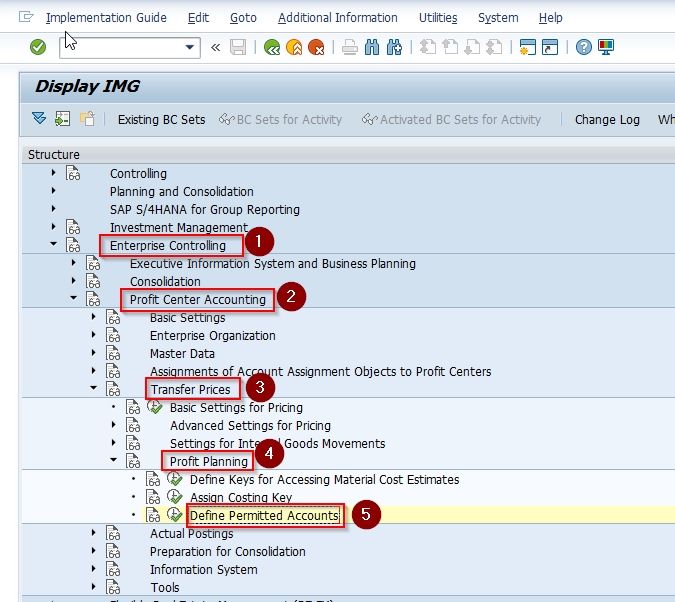 SAP IMG Path