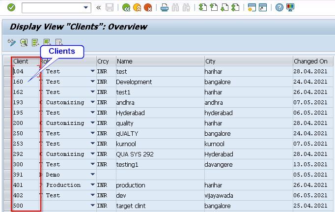 Display VIew Client Overview