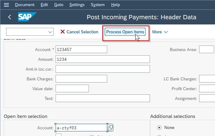 Process Open Items