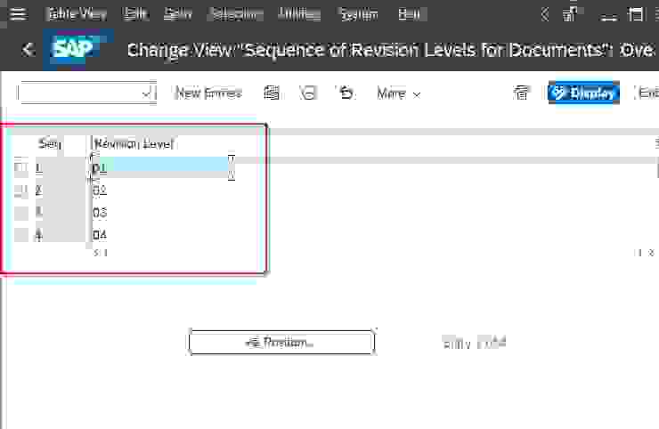 how-to-define-revision-level-in-sap