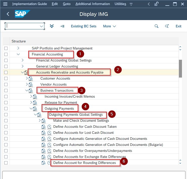 SAP IG path