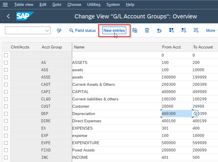 What is SAP Account Group and What does it control.