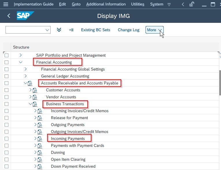 SAP IMG Path