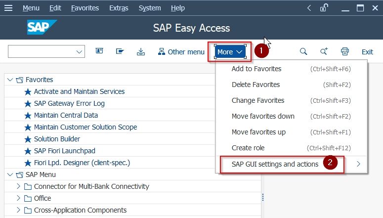 SAP GUI setting and actions