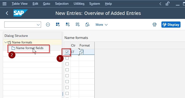 Name format fields