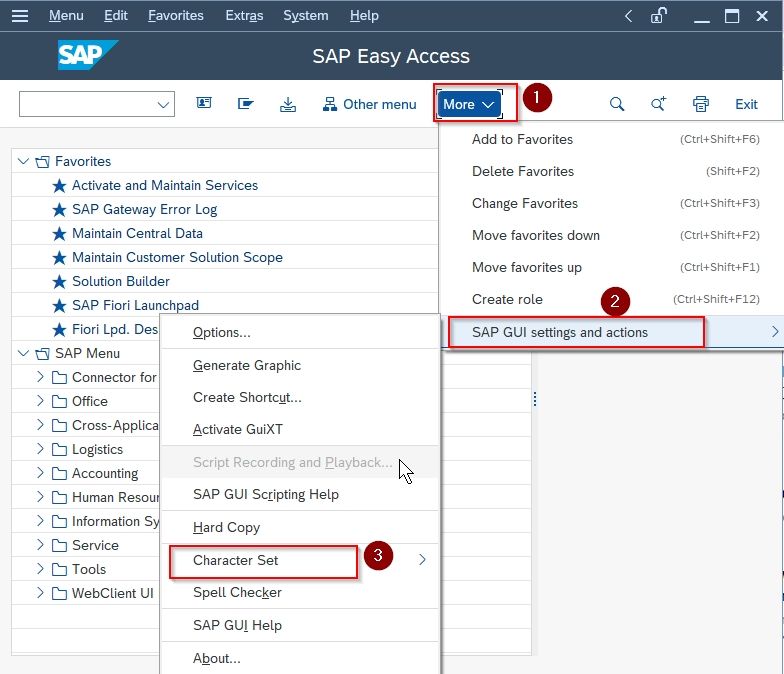 SAP GUI setting and actions