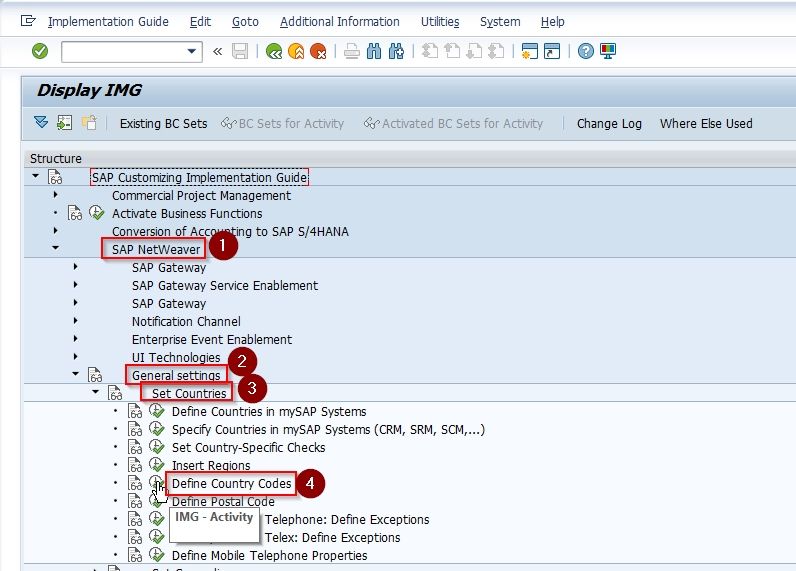 Define Country Codes In SAP