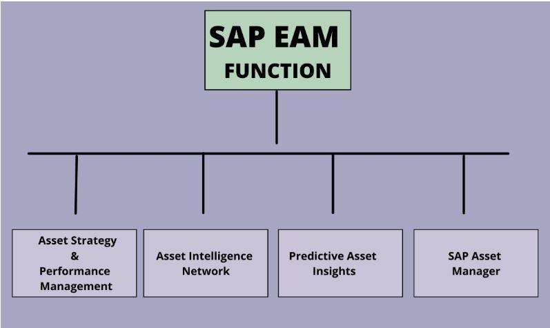 SAP EAM Function