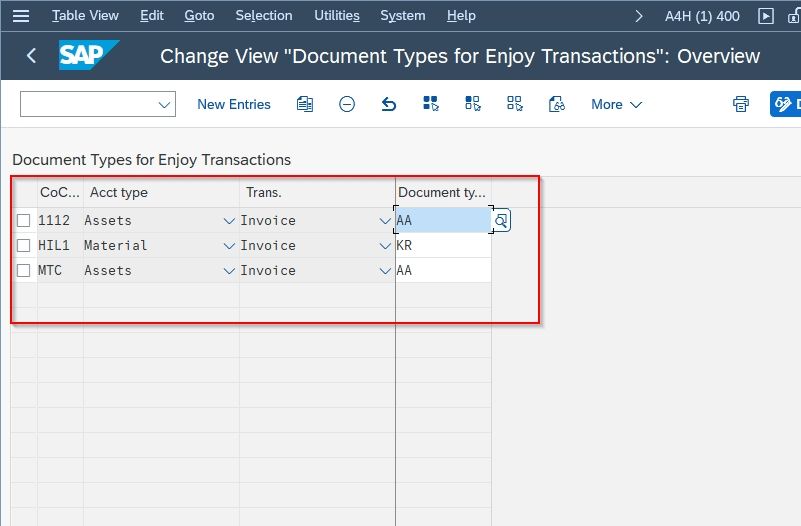 Previous Defined Document Types for Enjoy Transaction