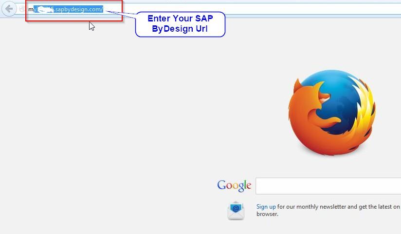 Open SAP ByDesign URL