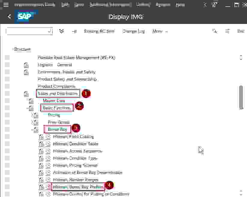 how-to-maintain-bonus-buy-profiles-in-sap