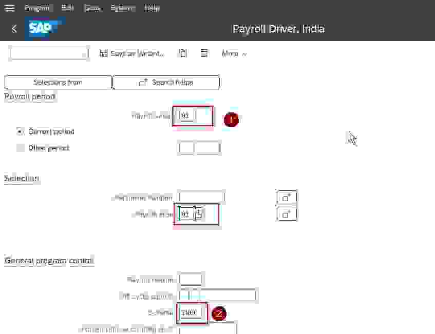 Execute Payroll in SAP HR