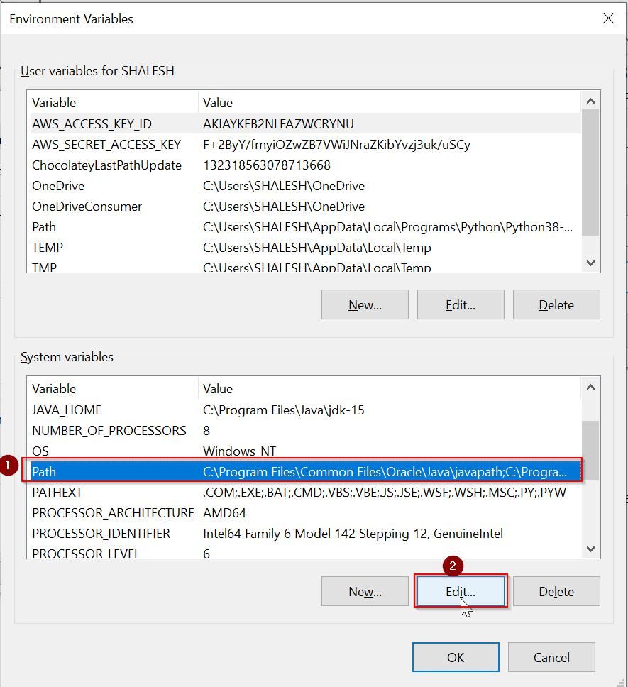 Error setting java_home variable for p6 suite installer