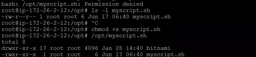 bash: permission denied error