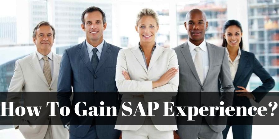 SAP-Experience