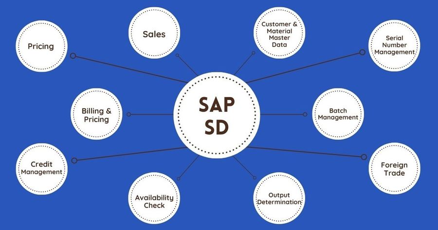 SAP SD Function