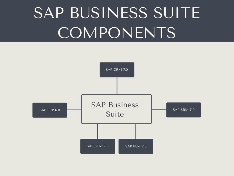 SAP Business Suite Components