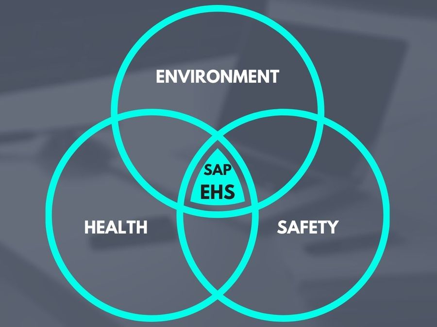 Sap ehsm презентация