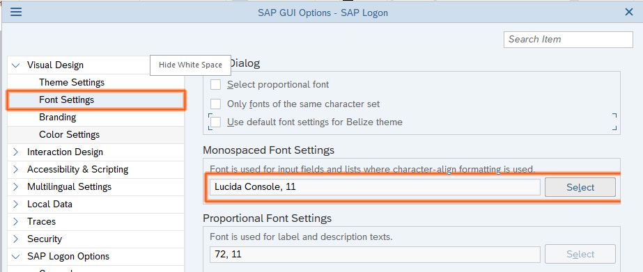 SAP GUI Font Settings